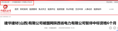 建华建材(山西)无限公司被国网陕西省电力无限公